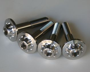 Titanium rear frame fixing screws kit