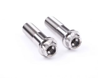 Pair of Eccentric hub titanium screws