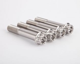 Front brake calipers titanium screws kit